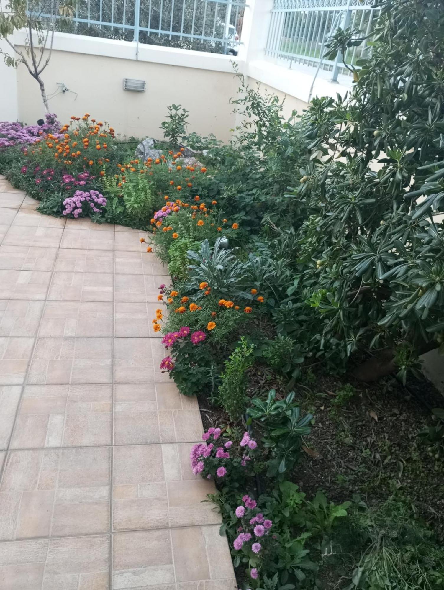 Dora'S Home With Garden Volos Exterior foto